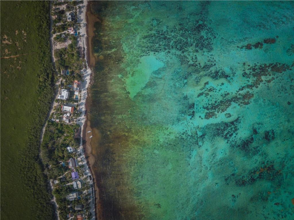 Aparthotel Ebb Ti Kaan Tulum-Luxury Condos- Bagian luar foto